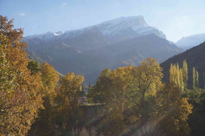 Şırnak’ın Bal Ormanları Farklı Renk Tonlarıyla Göz Kamaştırdı