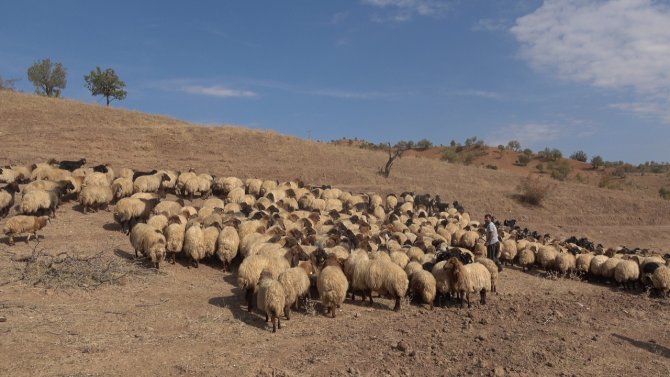 Siirtli Başkandan Eski Model Aysun Kayacı’ya Gönderme