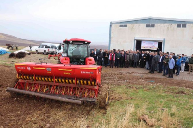 Siirt’te 523 Çiftçiye 5 Milyon Lira Değerinde 275 Ton Mercimek Tohumu Desteği Verildi