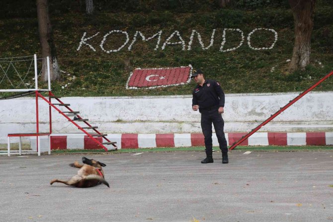 Jandarmanın Hassas Burnu ’Şila’