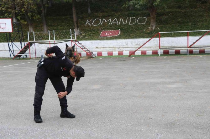 Jandarmanın Hassas Burnu ’Şila’