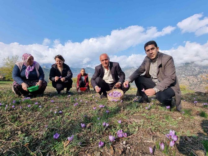 İ̇ki Dönümden Sadece 500 Gram Çıkıyor, Gramı 60 Tl’den Alıcı Buluyor