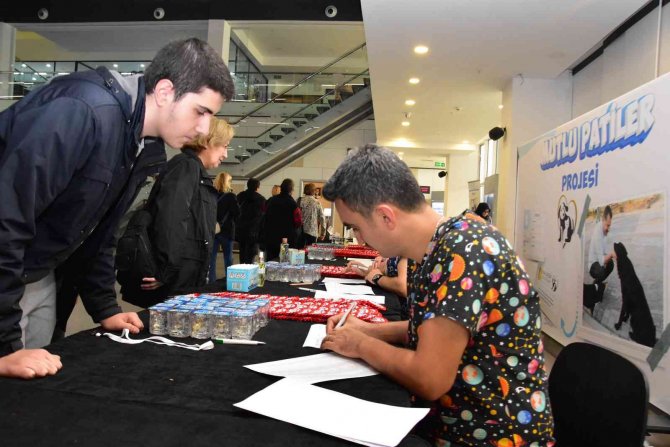 Balıkesir, Hayvanseverlikte Türkiye’ye Örnek Olacak