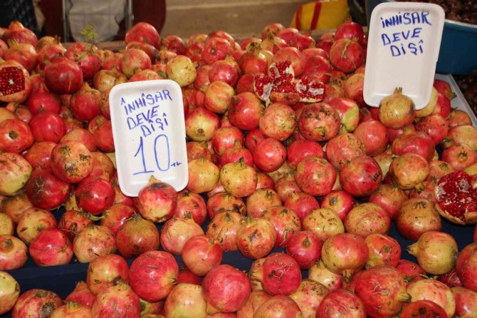 Osmanlı Saraylarının Nar İhtiyacının Yarısını Karşılayan Bilecik’te Nar Yerinde 5, Pazarda İse 10 Tl