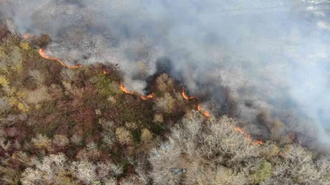 Bursa’da Ormanlık Alanda Korkutan Yangın Havadan Görüntülendi