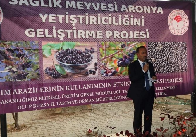 İ̇znik’in Bereketi, Sağlık Meyvesi Aronya İle Buluşuyor