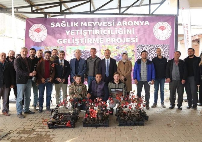 İ̇znik’in Bereketi, Sağlık Meyvesi Aronya İle Buluşuyor