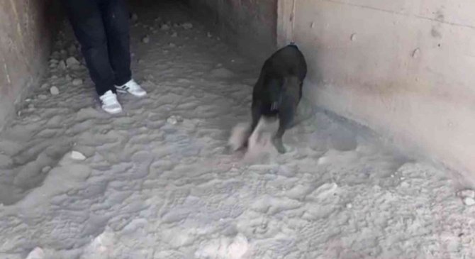 Iğdır’da Menfeze Saklanan Uyuşturucuyu Jandarma Ele Geçirdi