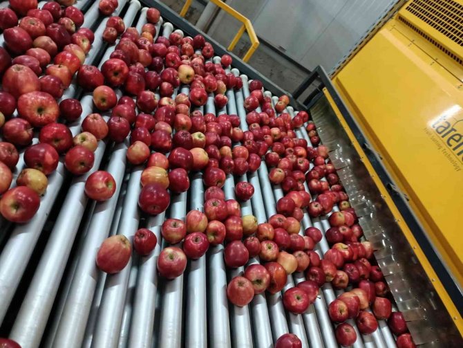 Elma Üretimi Yatırımlarla Artırılacak