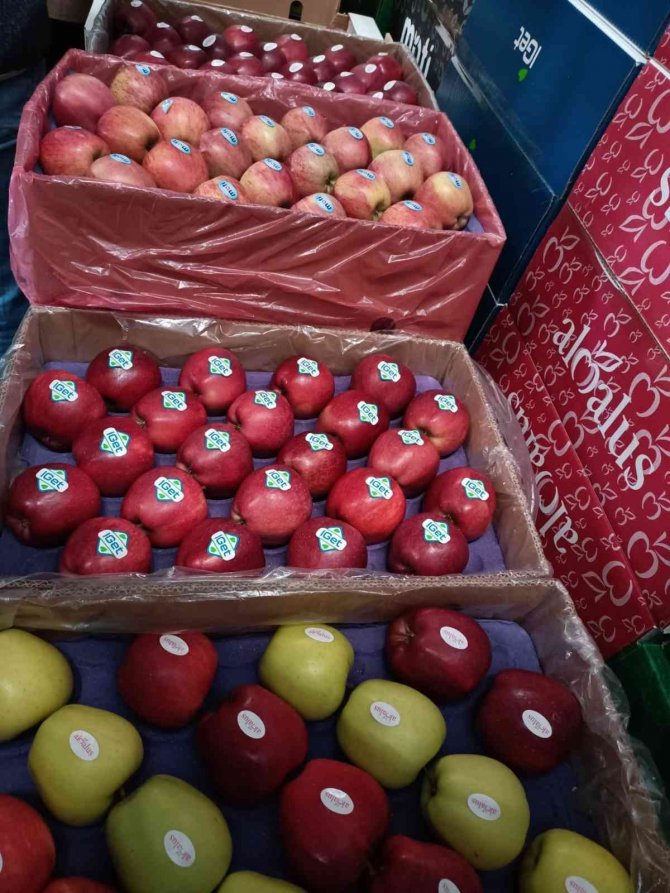 Elma Üretimi Yatırımlarla Artırılacak