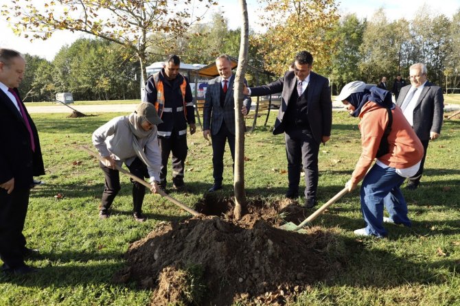 Maden Şehitleri Anısına Fidan Dikildi