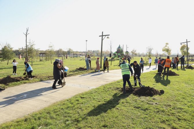 Maden Şehitleri Anısına Fidan Dikildi