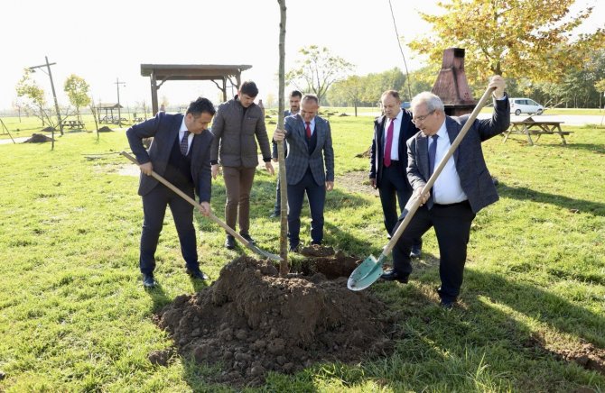 Maden Şehitleri Anısına Fidan Dikildi