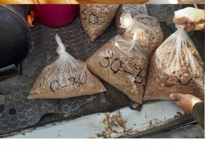 Şaphane’de Ceviz Dikimi Öncesi Toprak Analizi İçin Numune Alımı