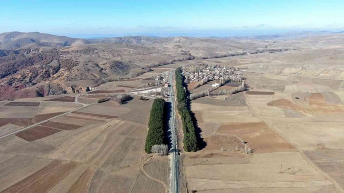 Dikiliş Nedenleri Görüntüsü Kadar Dikkat Çekici