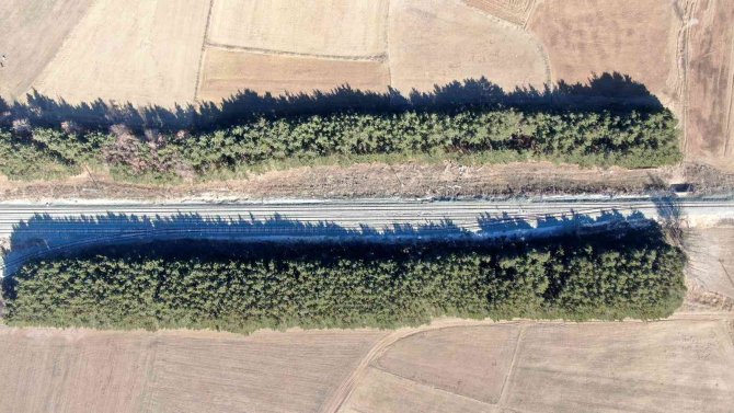 Dikiliş Nedenleri Görüntüsü Kadar Dikkat Çekici