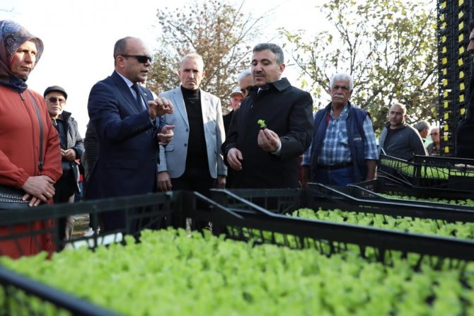 Düzce’de ‘Salata, Marulsuz Olmaz’ Projesi Başladı