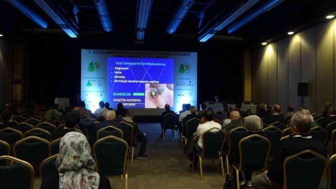 Bal Üreticisi Yıldırım, "Yangınlar Sonrası Narenciye Balı Üzerine Yoğunlaştık"