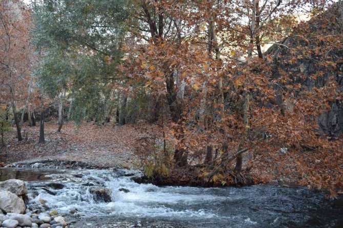 ‘Sakin Şehir’ Arapgir’de Sonbahar Göz Kamaştırıyor