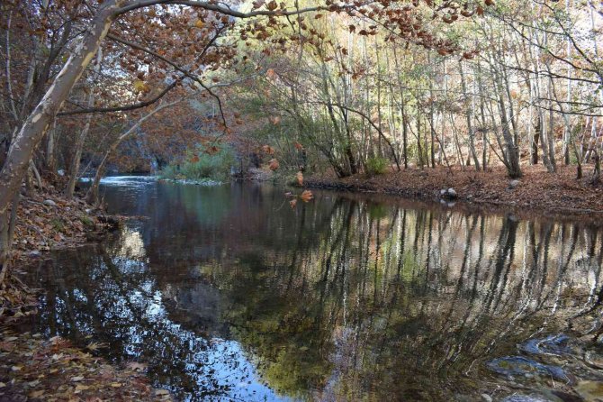 ‘Sakin Şehir’ Arapgir’de Sonbahar Göz Kamaştırıyor