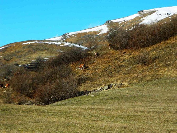 Posof’ta Yazdan Kalma Günler