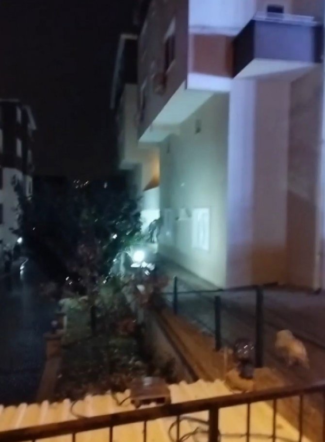Bursa’da Apartman Dairesinde Korkutan Yangın
