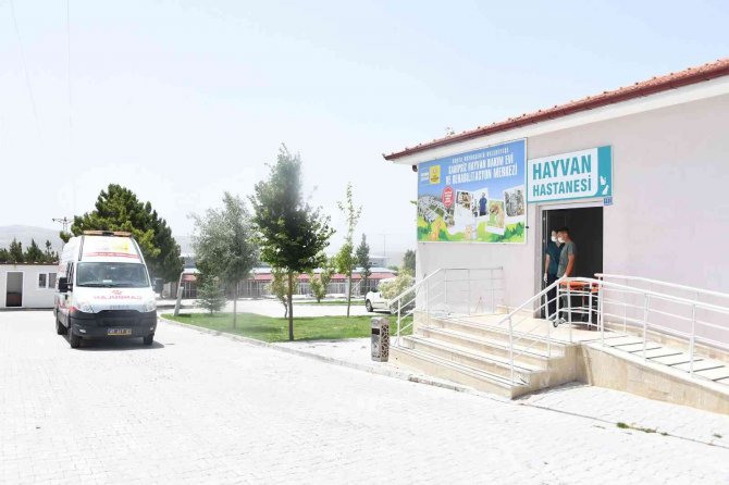 Cumhurbaşkanı Erdoğan Konya’yı Örnek Gösterdi