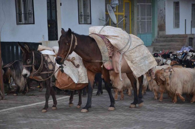 Binlerce Küçükbaş Hayvan Sıcak Bölgelere Ulaşmak İçin Seferde