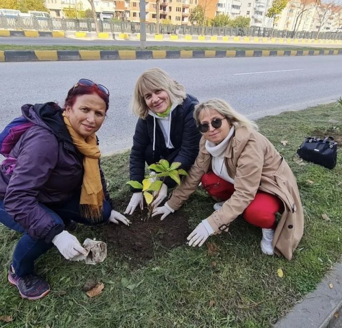 Devrek’te Topraklar Taflan İle Buluştu