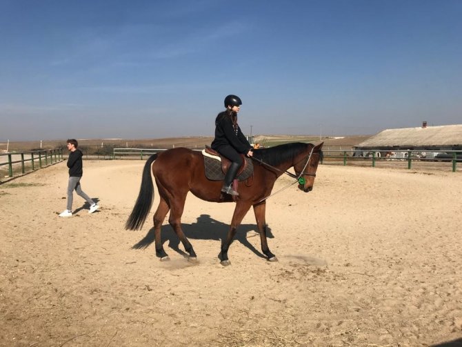 Ara Tatili At Üstünde Geçirdiler