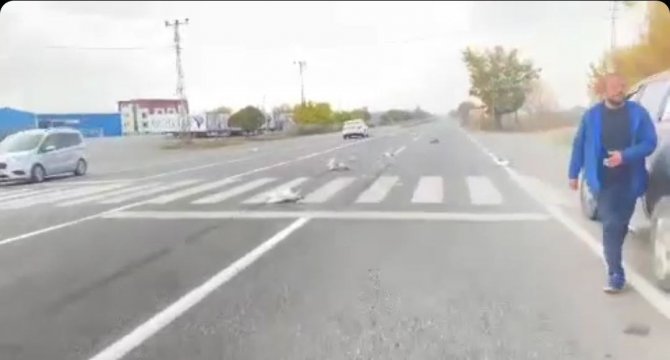 Iğdır’da Otomobilin Çarptığı Kazlar Telef Oldu