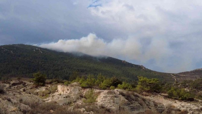 İ̇zmir’de İki İlçede Orman Yangını