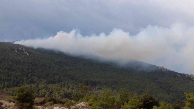 İ̇zmir’de İki İlçede Orman Yangını