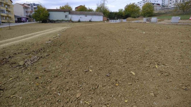 Gündoğdu Lavanta İle Canlandırılacak