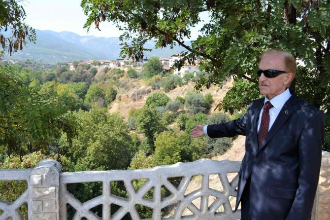 Karacasu Bir Çınarını Daha Kaybetti