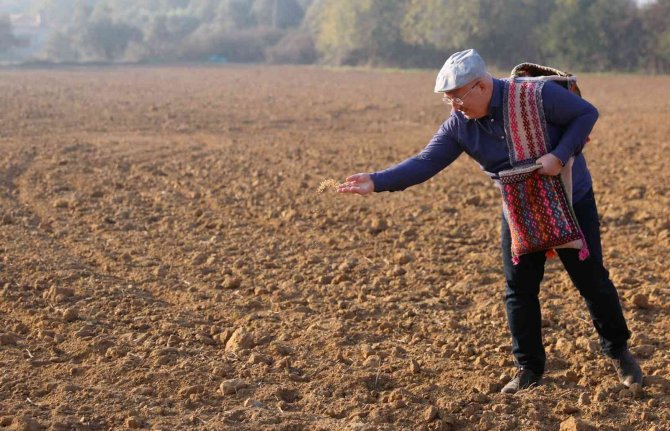 Menteşe’de Karakılçık Ata Tohumu Toprakla Buluştu