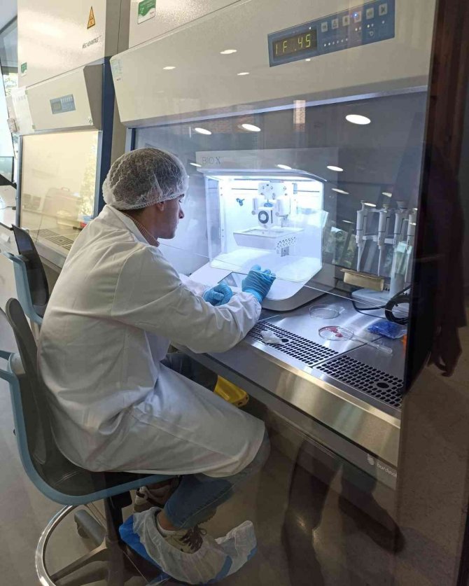 Nevü’lü Öğrenciler ‘Mesleki Eğitimde Mükemmeliyet Merkezleri Ağı’ Toplantısında