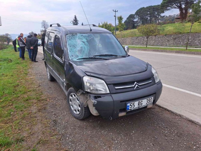 Köpeğin Bakıcısı Tutuklandı