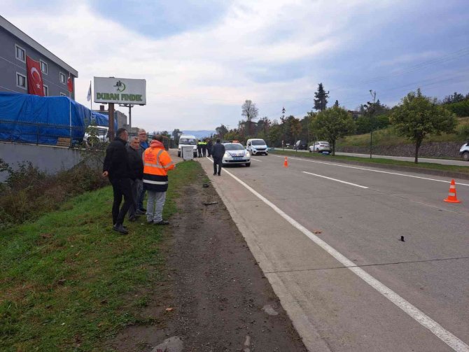 Köpeğin Bakıcısı Tutuklandı
