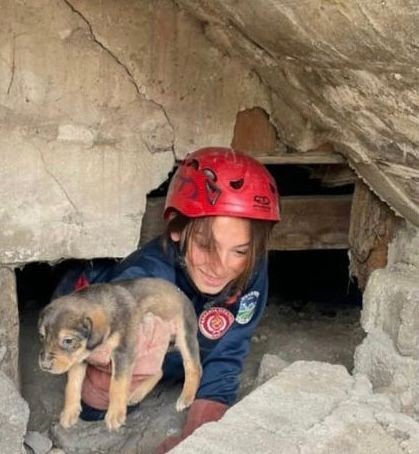 Bodrum Katında Mahsur Kalan Yavru Köpekleri İtfaiye Kurtardı