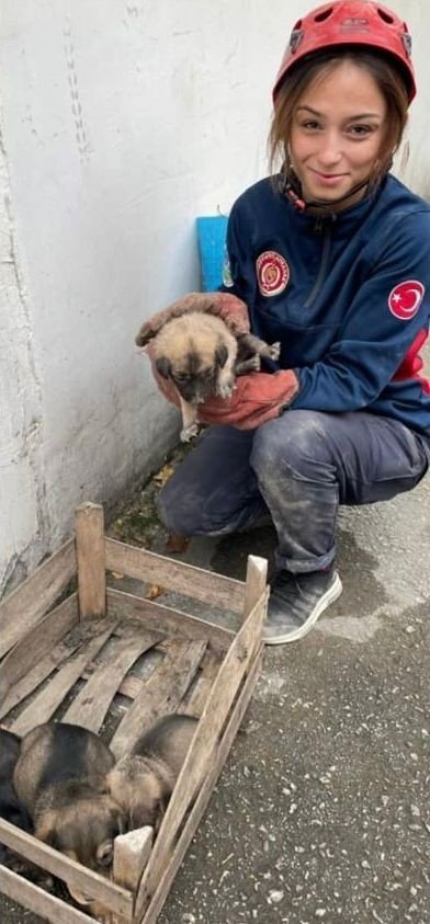 Bodrum Katında Mahsur Kalan Yavru Köpekleri İtfaiye Kurtardı