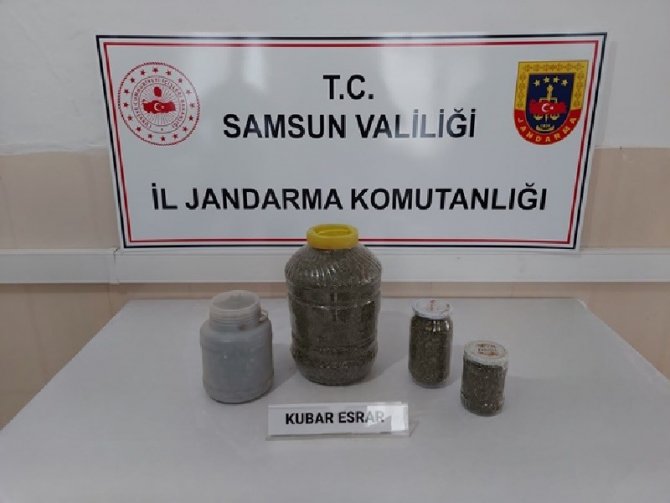 Samsun’da Amisos Dönemine Ait 237 Sikke Ele Geçirildi