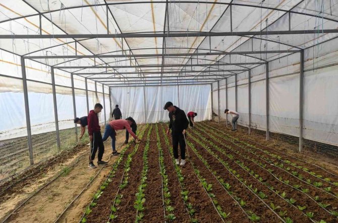 Hem Öğrenecekler, Hem Kazanacaklar