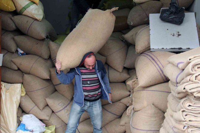 Fındık Fiyatları Yükselişe Geçti