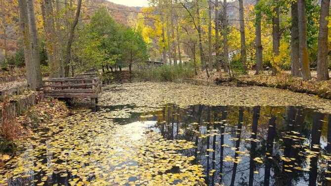 Harami Yaylasında Hazan Güzelliği