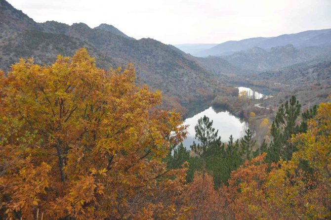 Harami Yaylasında Hazan Güzelliği