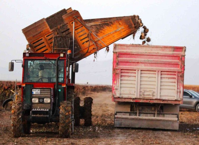 Konya’da 1 Milyon Dekar Alanda Şeker Pancarı Hasadı Devam Ediyor
