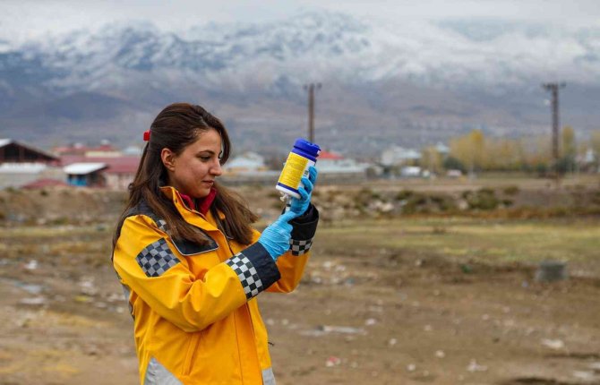 Başkan Allahverdi: “5 Bin Sokak Köpeğine Kuduz Aşısı Yaptık”