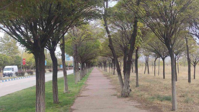 Van’da Sonbahar Güzelliği