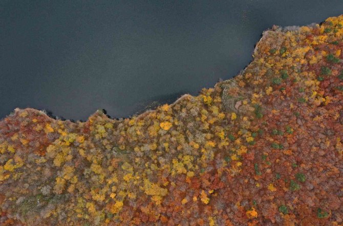 Boraboy Gölü Tabiat Parkı’nda Renk Cümbüşü